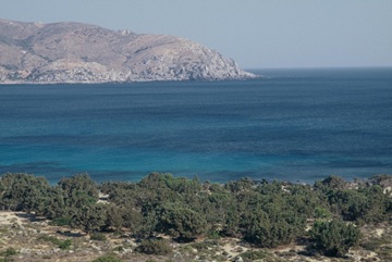 immagine di un punto di costa con vegetazione bassa e un promontorio del mar mediterraneo