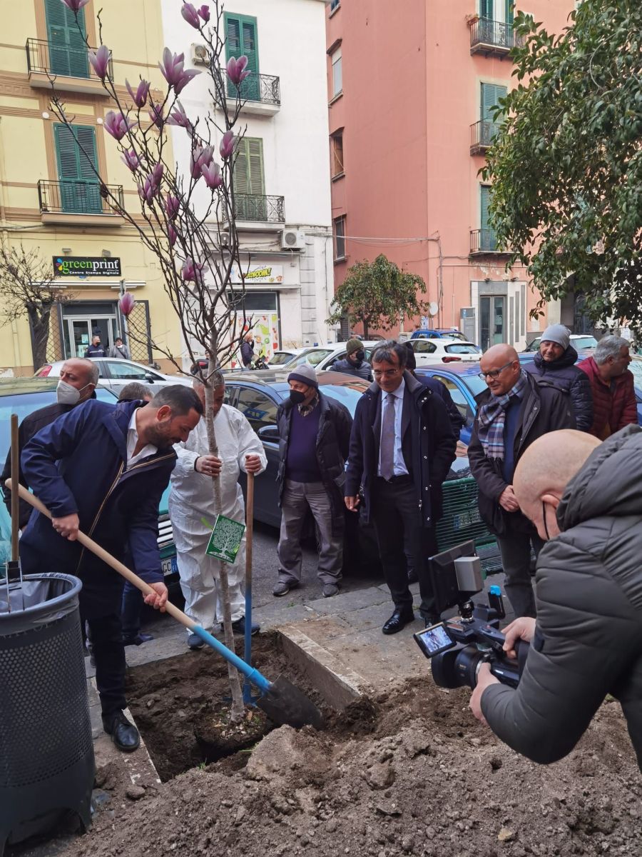 Un albero di solidarietà a Ponticelli