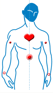 disegno di un corpo umano