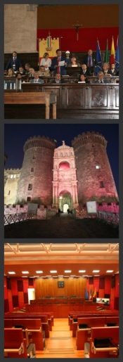 Collage di foto del Consiglio comunale