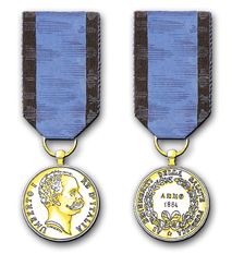 picture of the gold medal for services to public health,1884 