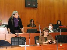 Una foto della seduta del Consiglio