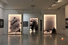 Alcune foto della mostra