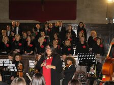 Una foto del concerto