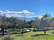 Parte la riqualificazione del Parco del viale del Poggio