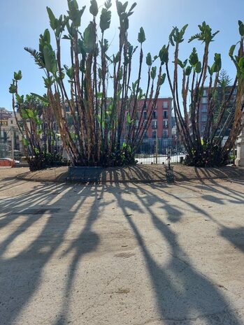  foto delle aree a verde