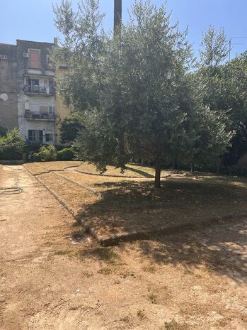   foto della conferenza stampa