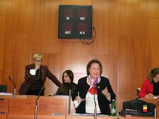 Foto del consiglio comunale