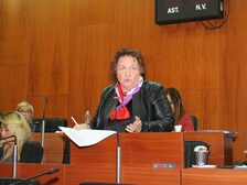 Una foto della seduta del Consiglio