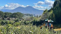 Parte la riqualificazione del Parco del viale del Poggio