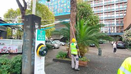 Rimozione addobbi per i festeggiamenti dello scudetto