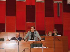 Foto del consiglio comunale