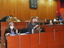  Foto del consiglio comunale