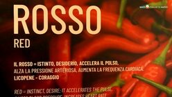 Festival dei 5 colori