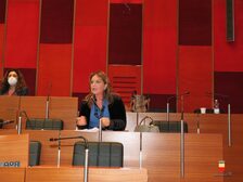 Una foto della seduta del Consiglio